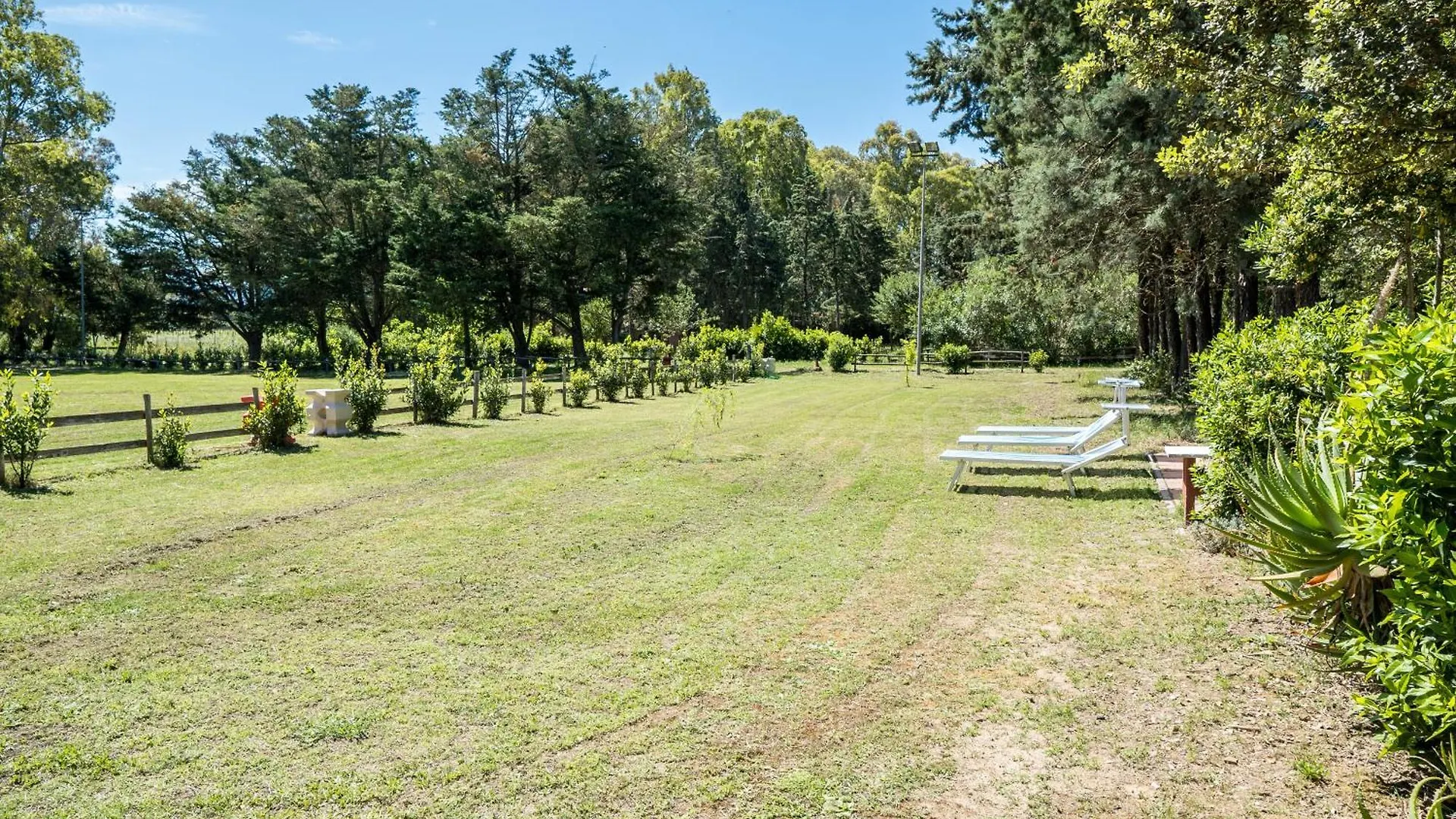 Fattoria Dei Piani Srl Villa Olmedo Holiday home